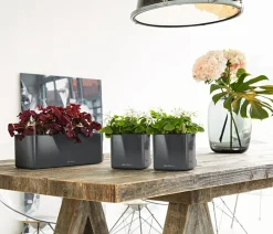 LECHUZA® Lechuza Pflanzgefäße & Töpfe - CUBE Glossy Triple, All-in-One Set, 40 cm Dunkelgrau