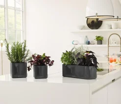 LECHUZA® Lechuza Pflanzgefäße & Töpfe - CUBE Glossy Triple, All-in-One Set, 40 cm Dunkelgrau