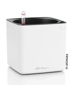LECHUZA® Lechuza Tischgefäße|Lechuza Pflanzgefäße & Töpfe > CUBE Premium, All-in-One Set, matt