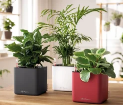 LECHUZA® Lechuza Tischgefäße|Lechuza Pflanzgefäße & Töpfe > CUBE Premium, All-in-One Set, matt
