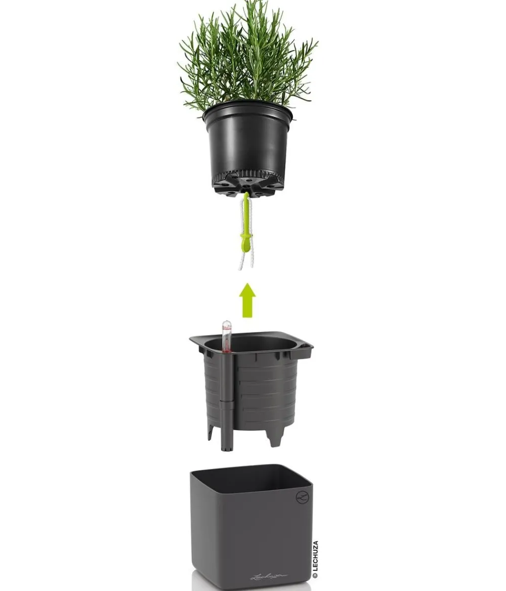 LECHUZA® Lechuza Tischgefäße|Lechuza Pflanzgefäße & Töpfe > CUBE Premium, All-in-One Set, matt