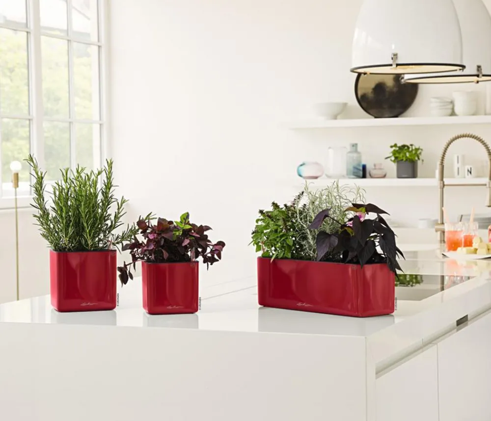 LECHUZA® Lechuza Tischgefäße|Lechuza Pflanzgefäße & Töpfe > CUBE Premium, All-in-One Set, hochglanz
