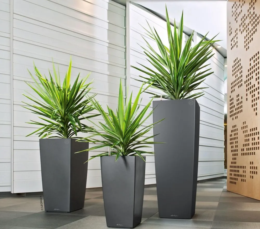 LECHUZA® Lechuza Pflanzgefäße & Töpfe - CUBICO ALTO, All-in-One-Set, ca. B40/H105/T40 cm Dunkelgrau