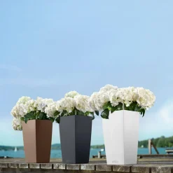 LECHUZA® Lechuza Pflanzgefäße & Töpfe|Blumentöpfe & Übertöpfe > CUBICO Color, All-in-One-Set
