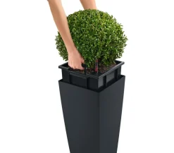 LECHUZA® Lechuza Pflanzgefäße & Töpfe|Blumentöpfe & Übertöpfe > CUBICO Color, All-in-One-Set