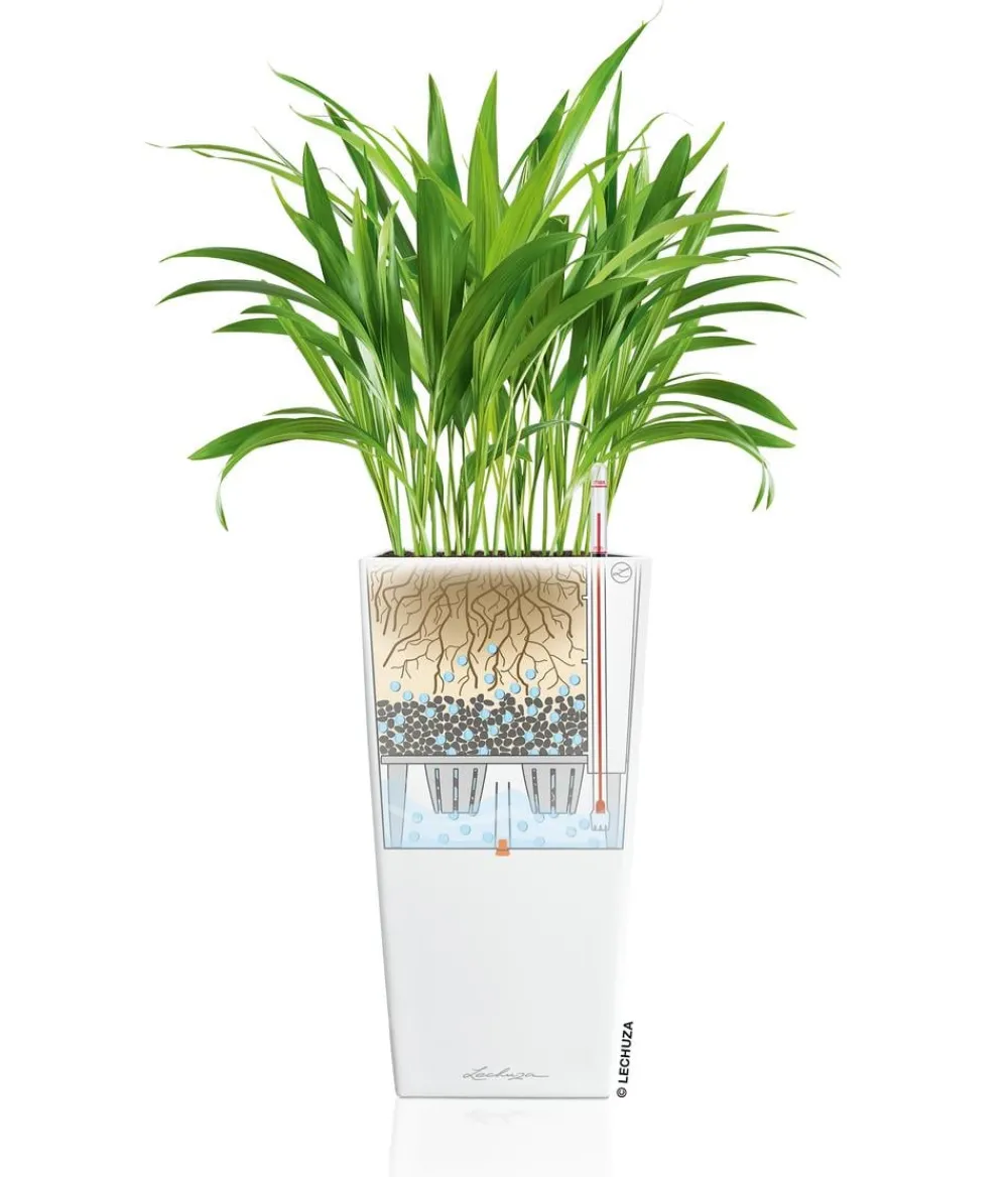 LECHUZA® Lechuza Pflanzgefäße & Töpfe|Blumentöpfe & Übertöpfe > CUBICO Premium, All-in-One-Set
