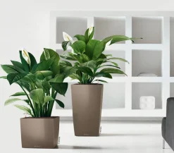 LECHUZA® Lechuza Pflanzgefäße & Töpfe|Blumentöpfe & Übertöpfe > CUBICO Premium, All-in-One-Set