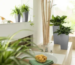 LECHUZA® Lechuza Pflanzgefäße & Töpfe|Blumentöpfe & Übertöpfe > CUBICO Premium, All-in-One-Set