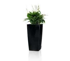 LECHUZA® Lechuza Pflanzgefäße & Töpfe|Blumentöpfe & Übertöpfe - CUBICO Premium, All-in-One-Set Schwarz
