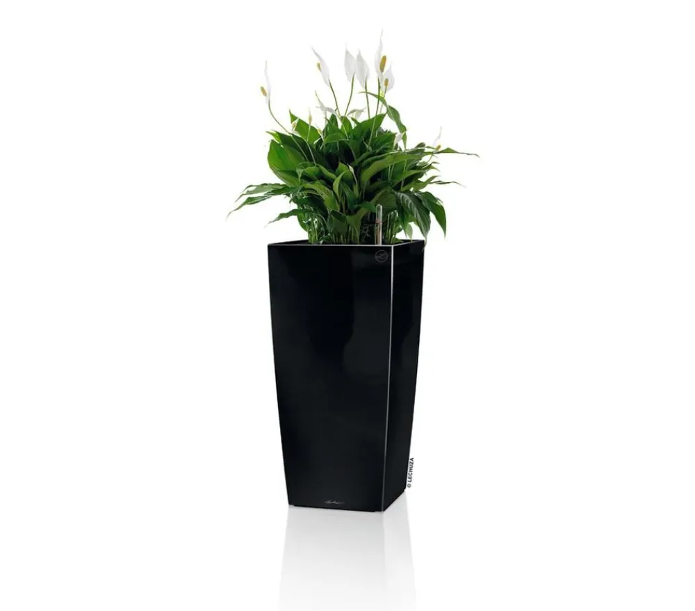 LECHUZA® Lechuza Pflanzgefäße & Töpfe|Blumentöpfe & Übertöpfe - CUBICO Premium, All-in-One-Set Schwarz