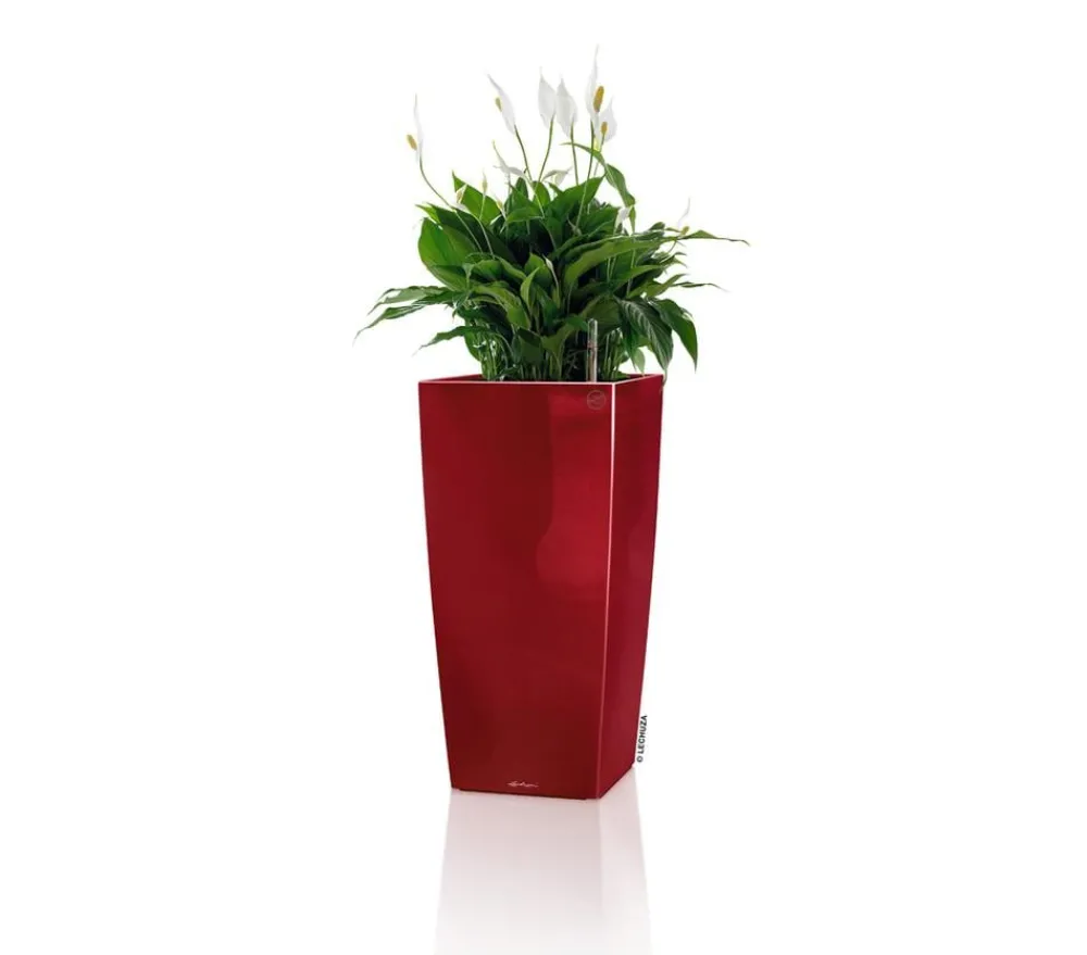 LECHUZA® Lechuza Pflanzgefäße & Töpfe|Blumentöpfe & Übertöpfe - CUBICO Premium, All-in-One-Set Dunkelrot
