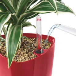LECHUZA® Lechuza Pflanzgefäße & Töpfe|Blumentöpfe & Übertöpfe > DELTA, All-in-One-Set