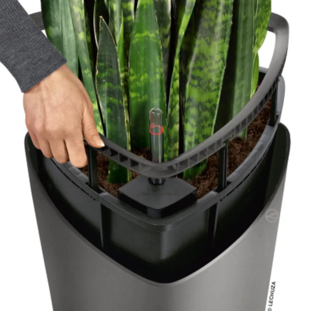 LECHUZA® DELTA, All-in-One-Set Dunkelgrau