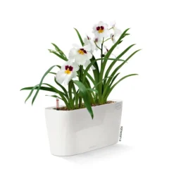LECHUZA® Lechuza Pflanzgefäße & Töpfe|Pflanzkübel & Blumenkästen > DELTA, All-in-One-Set, hochglanz