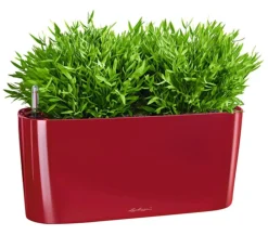 LECHUZA® Lechuza Pflanzgefäße & Töpfe|Pflanzkübel & Blumenkästen - DELTA, All-in-One-Set, hochglanz Dunkelrot