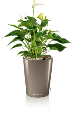 LECHUZA® Lechuza Tischgefäße|Lechuza Pflanzgefäße & Töpfe > DELTINI, All-in-One-Set, hochglanz