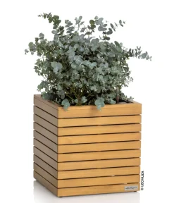 LECHUZA® Holz-Kasten PALO Natural Wood 45, quadratisch Hellbraun Clearance