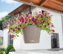 LECHUZA® Kunststoff-Hängeampel Nido Cottage inkl. Pflanzeinsatz, rund, ca. Ø36,3/H24,2 cm Hellbraun Discount