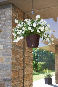LECHUZA® Lechuza Pflanzgefäße & Töpfe|Blumenampeln & -Schalen > Kunststoff-Hängeampel Nido Cottage