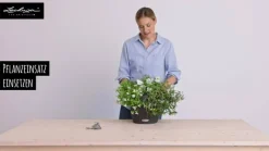 LECHUZA® Kunststoff-Hängeampel Nido Cottage Weiß Clearance
