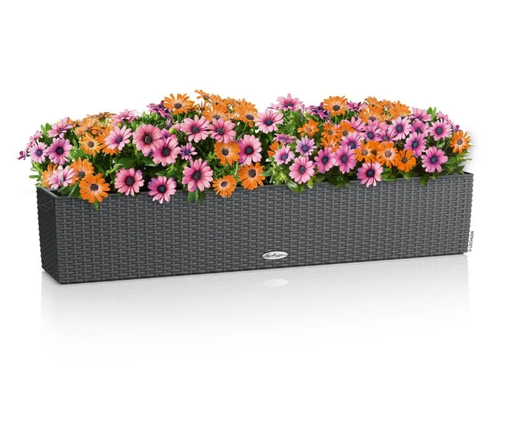 LECHUZA® Pflanzkübel & Blumenkästen|Lechuza Pflanzgefäße & Töpfe > Kunststoff-Kasten Balconera Cottage, rechteckig