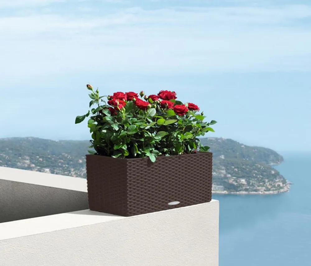 LECHUZA® Pflanzkübel & Blumenkästen|Lechuza Pflanzgefäße & Töpfe > Kunststoff-Kasten Balconera Cottage, rechteckig