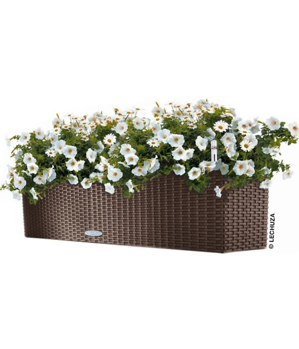 LECHUZA® Pflanzkübel & Blumenkästen|Lechuza Pflanzgefäße & Töpfe > Kunststoff-Kasten Balconera Cottage, rechteckig