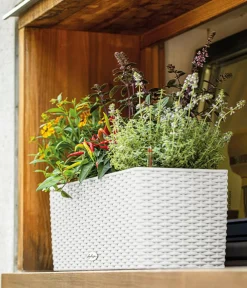 LECHUZA® Pflanzkübel & Blumenkästen|Lechuza Pflanzgefäße & Töpfe > Kunststoff-Kasten Balconera Cottage, rechteckig