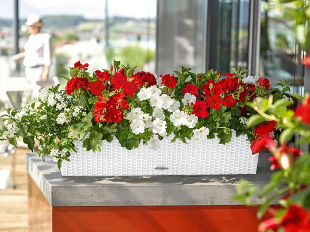 LECHUZA® Pflanzkübel & Blumenkästen|Lechuza Pflanzgefäße & Töpfe > Kunststoff-Kasten Balconera Cottage, rechteckig