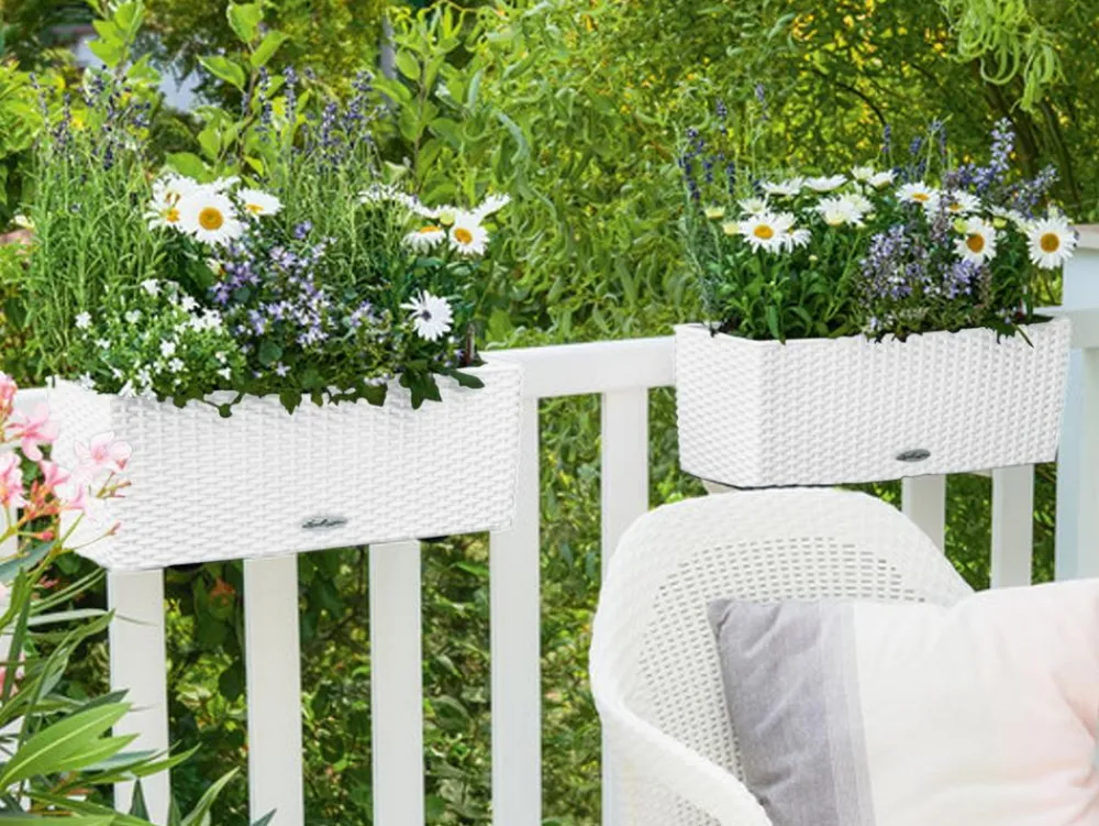 LECHUZA® Pflanzkübel & Blumenkästen|Lechuza Pflanzgefäße & Töpfe > Kunststoff-Kasten Balconera Cottage, rechteckig