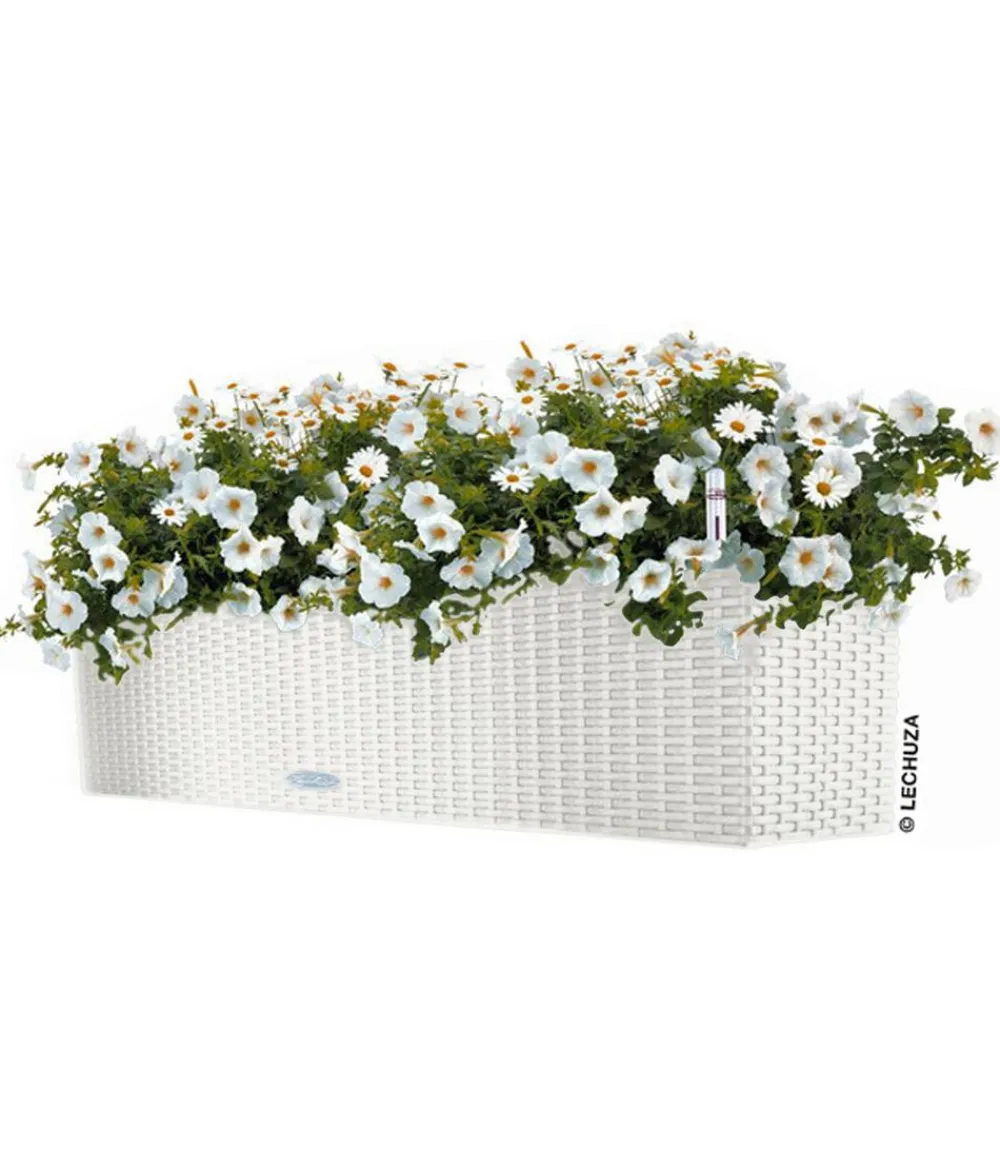 LECHUZA® Pflanzkübel & Blumenkästen|Lechuza Pflanzgefäße & Töpfe > Kunststoff-Kasten Balconera Cottage, rechteckig