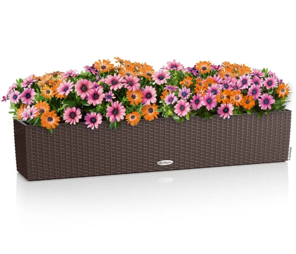 LECHUZA® Pflanzkübel & Blumenkästen|Lechuza Pflanzgefäße & Töpfe > Kunststoff-Kasten Balconera Cottage, rechteckig