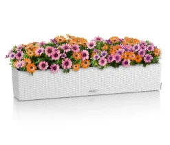 LECHUZA® Pflanzkübel & Blumenkästen|Lechuza Pflanzgefäße & Töpfe > Kunststoff-Kasten Balconera Cottage, rechteckig