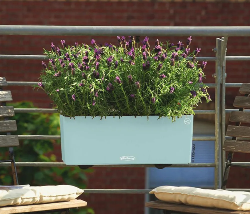 LECHUZA® Pflanzkübel & Blumenkästen|Lechuza Pflanzgefäße & Töpfe > Kunststoff-Kasten Balconera Color, rechteckig