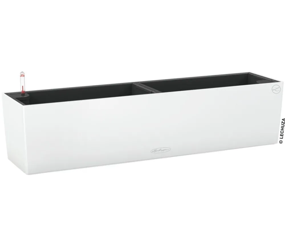 LECHUZA® Pflanzkübel & Blumenkästen|Lechuza Pflanzgefäße & Töpfe > Kunststoff-Kasten Balconera Color, rechteckig