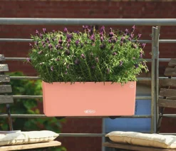 LECHUZA® Pflanzkübel & Blumenkästen|Lechuza Pflanzgefäße & Töpfe > Kunststoff-Kasten Balconera Color, rechteckig