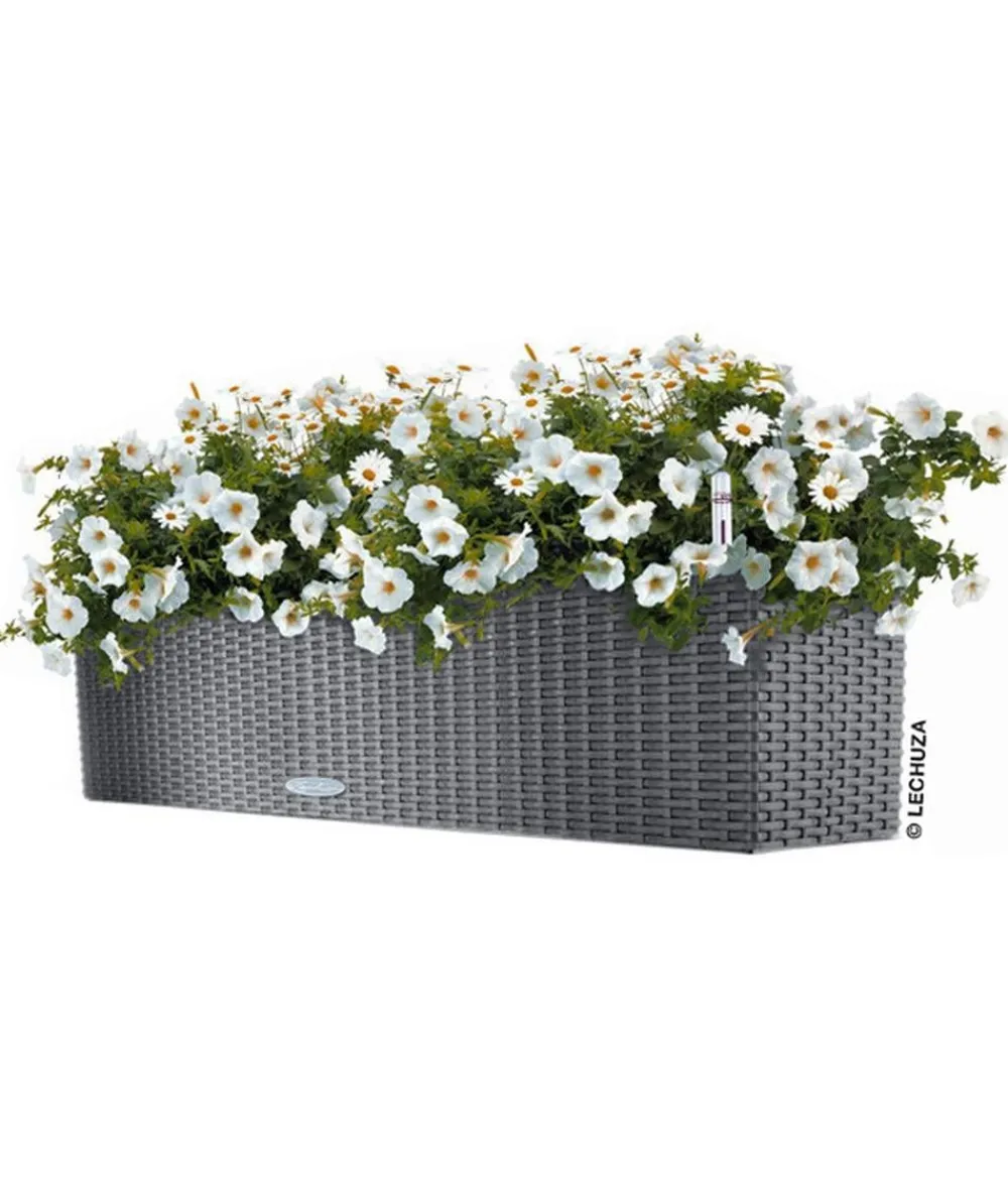LECHUZA® Kunststoff-Kasten Balconera Cottage, rechteckig Dunkelgrau
