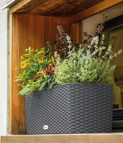 LECHUZA® Kunststoff-Kasten Balconera Cottage, rechteckig Dunkelgrau