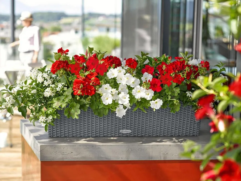 LECHUZA® Kunststoff-Kasten Balconera Cottage, rechteckig Dunkelgrau