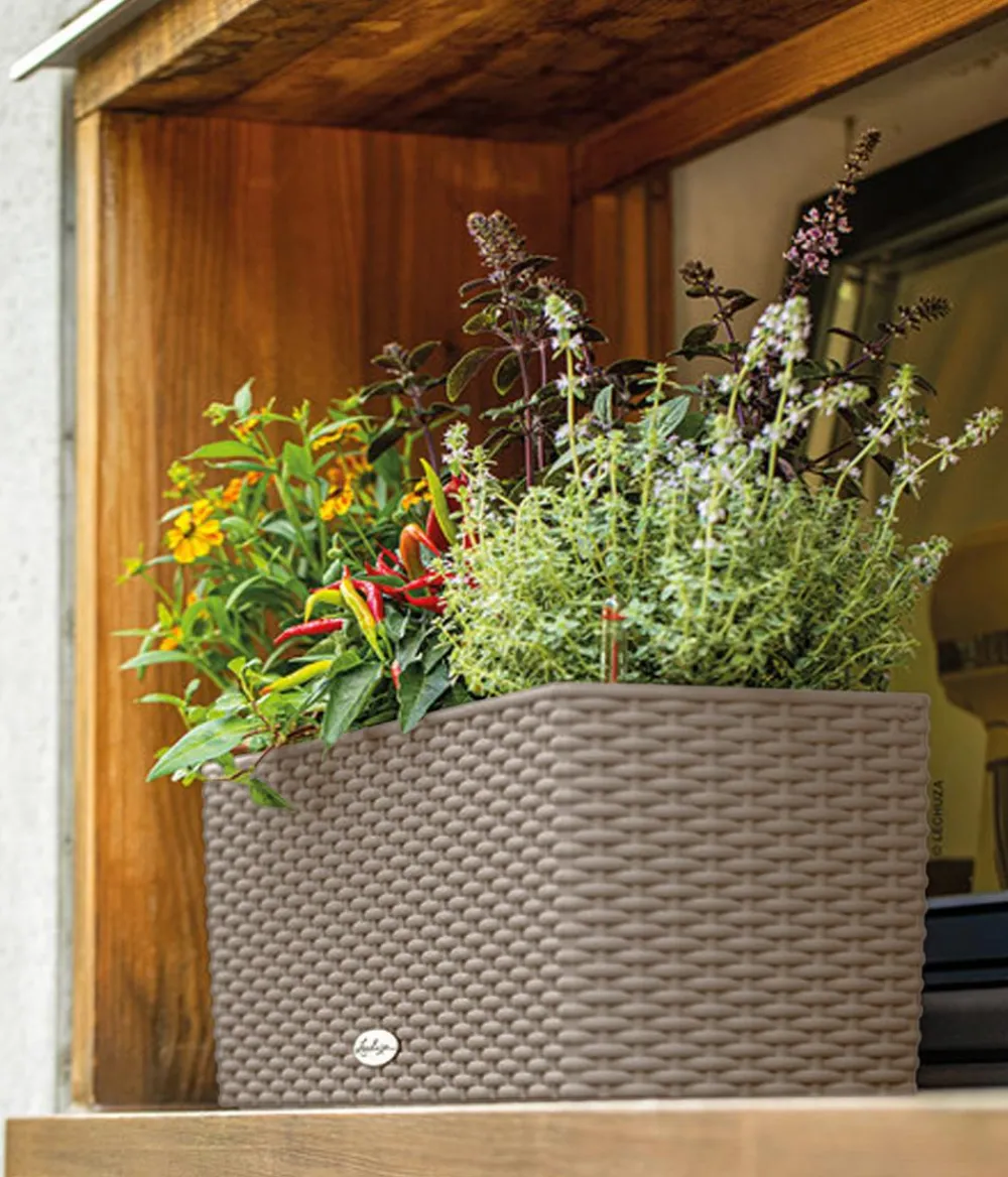 LECHUZA® Kunststoff-Kasten Balconera Cottage, rechteckig Beige Best