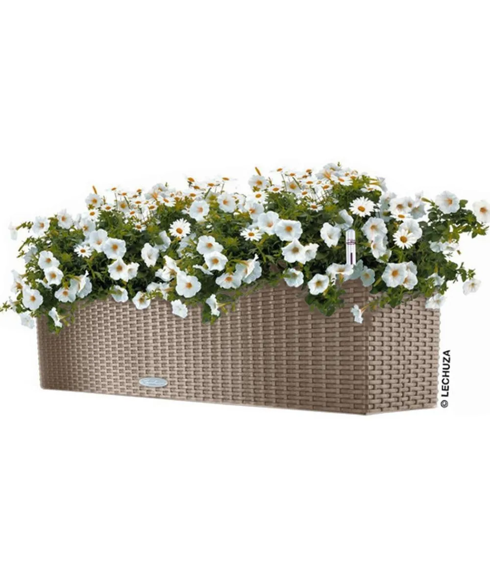 LECHUZA® Kunststoff-Kasten Balconera Cottage, rechteckig Beige Best