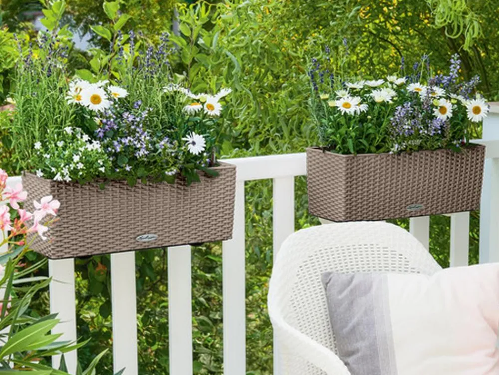 LECHUZA® Kunststoff-Kasten Balconera Cottage, rechteckig Beige Best