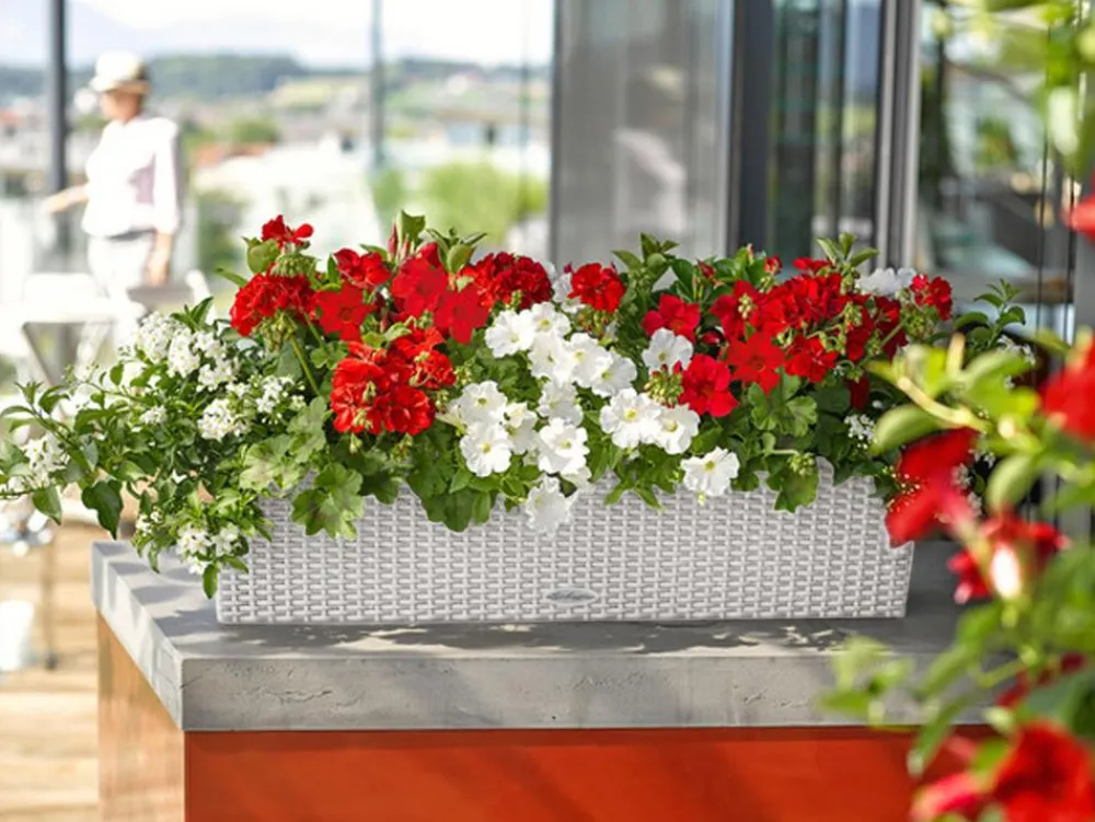 LECHUZA® Kunststoff-Kasten Balconera Cottage, rechteckig Hellgrau Best