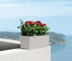 LECHUZA® Kunststoff-Kasten Balconera Cottage, rechteckig Hellgrau Best