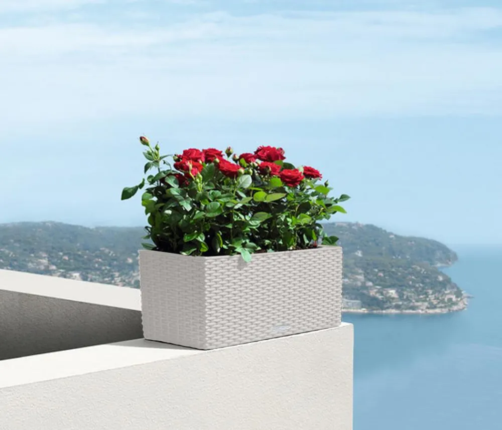 LECHUZA® Kunststoff-Kasten Balconera Cottage, rechteckig Hellgrau Best