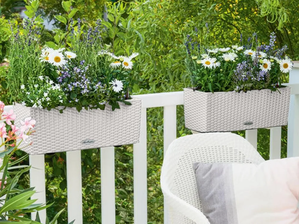 LECHUZA® Kunststoff-Kasten Balconera Cottage, rechteckig Hellgrau Best