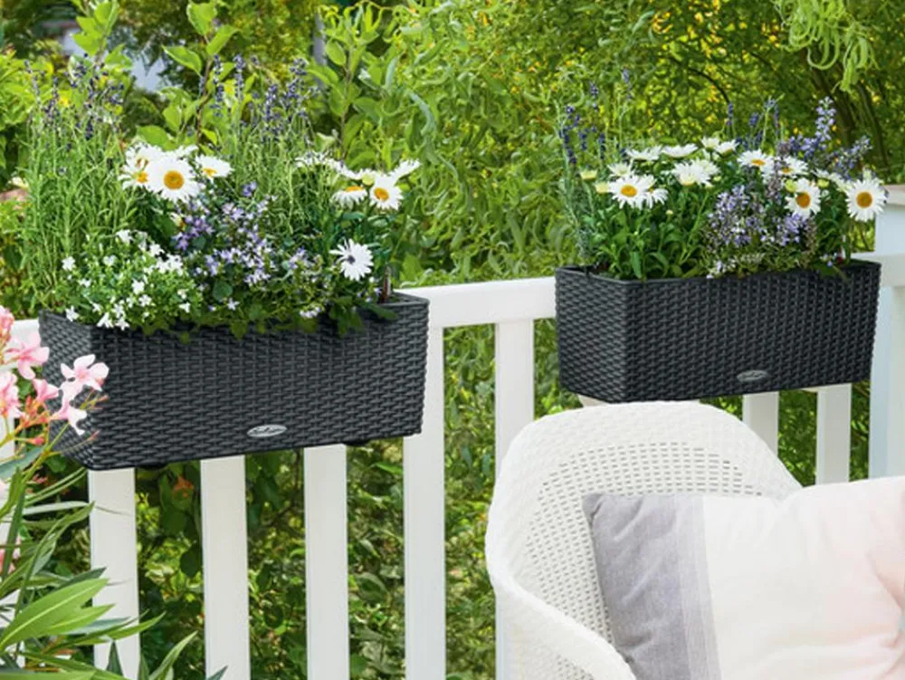LECHUZA® Kunststoff-Kasten Balconera Cottage, rechteckig Schwarz Clearance