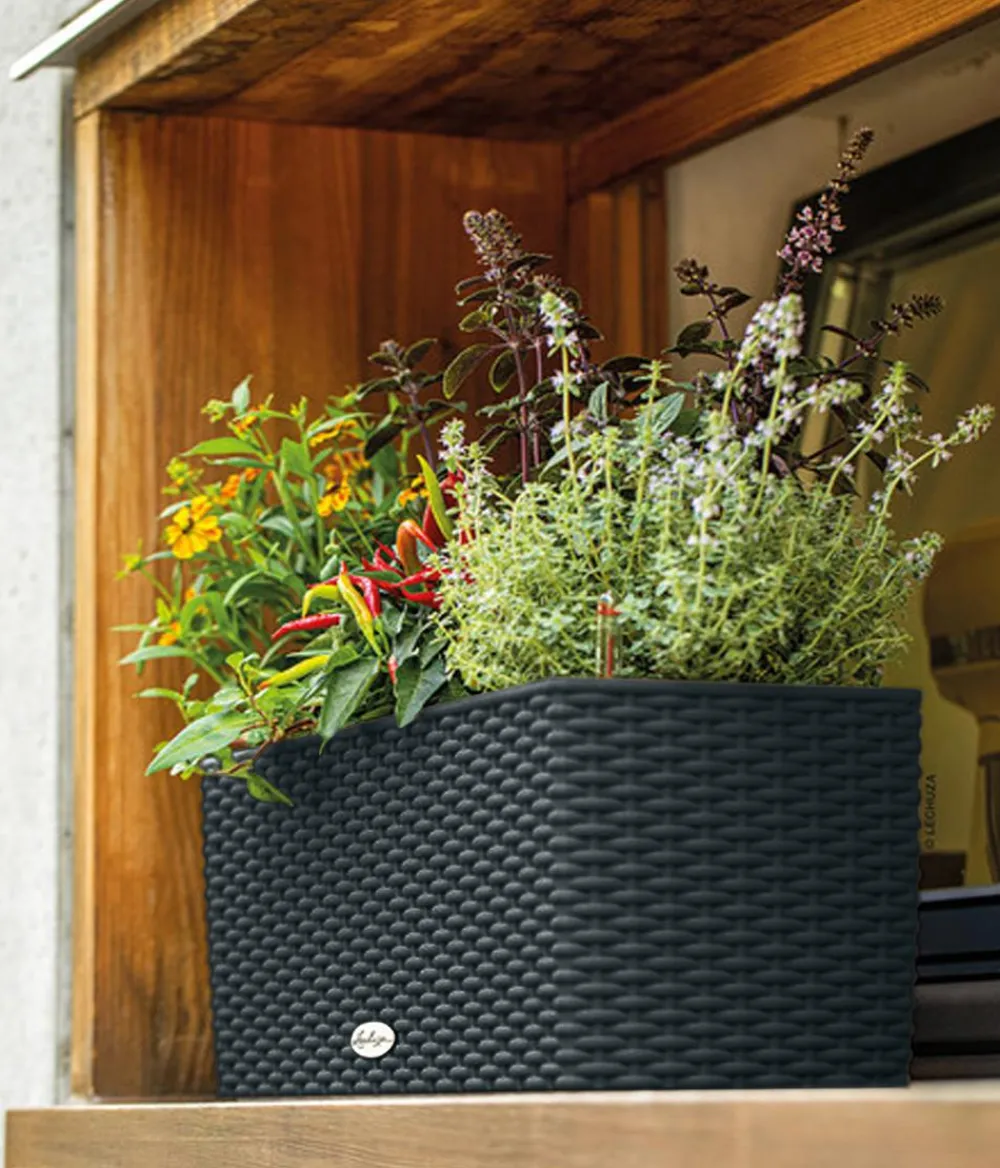 LECHUZA® Kunststoff-Kasten Balconera Cottage, rechteckig Schwarz Clearance
