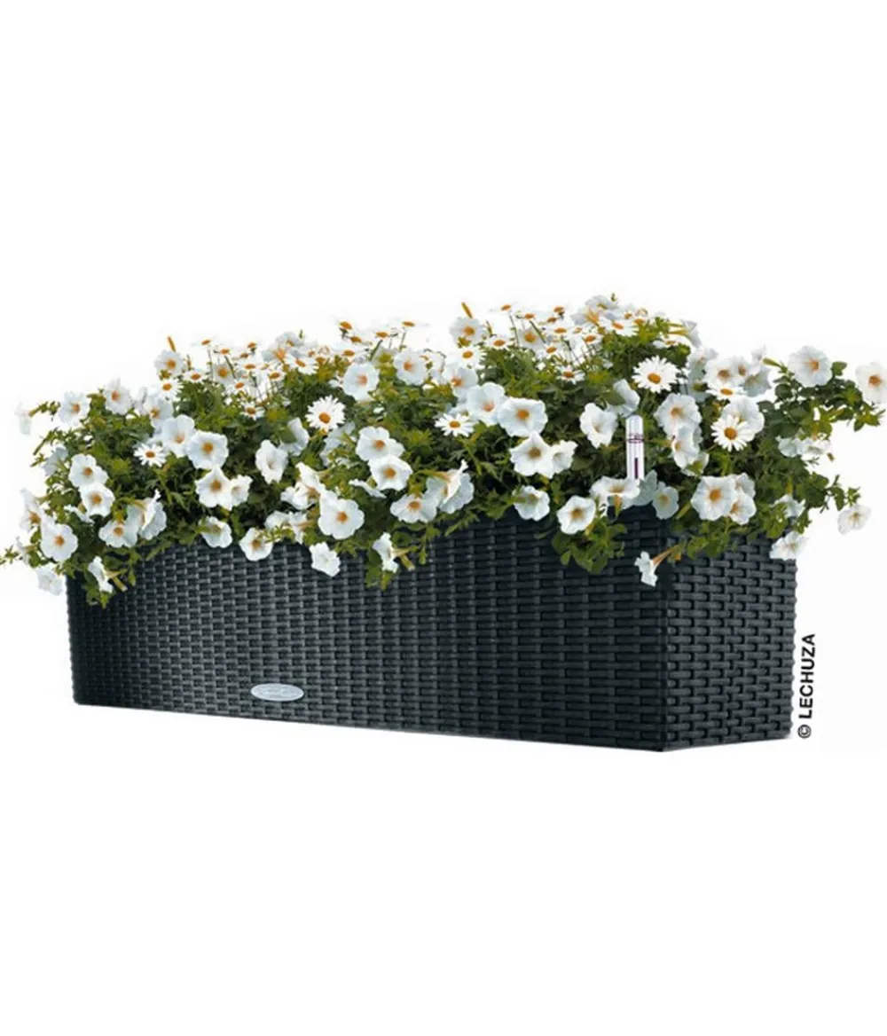 LECHUZA® Kunststoff-Kasten Balconera Cottage, rechteckig Schwarz Clearance