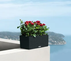 LECHUZA® Kunststoff-Kasten Balconera Cottage, rechteckig Schwarz Clearance